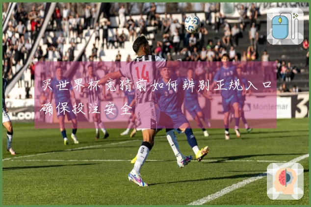 买世界杯竞猜前如何辨别正规入口确保投注安全
