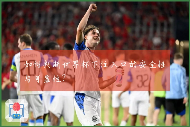 如何判断世界杯下注入口的安全性与可靠性？