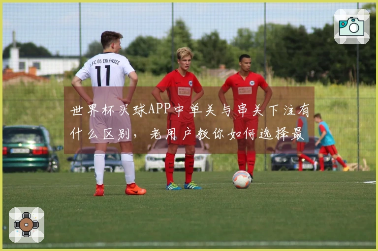 世界杯买球APP中单关与串关下注有什么区别,老用户教你如何选择最适合的玩法