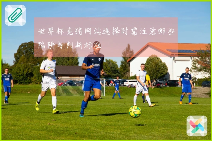 世界杯竞猜网站选择时需注意哪些陷阱与判断标准