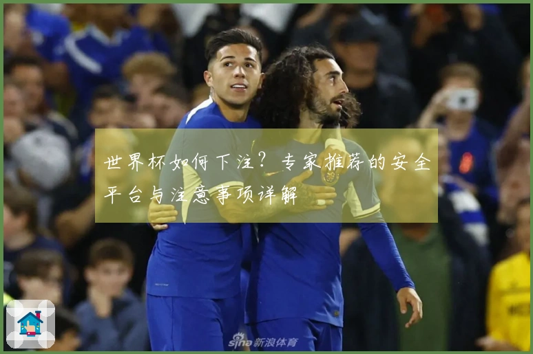 世界杯如何下注?专家推荐的安全平台与注意事项详解