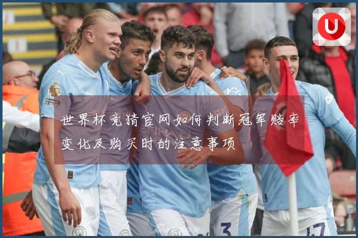 世界杯竞猜官网如何判断冠军赔率变化及购买时的注意事项