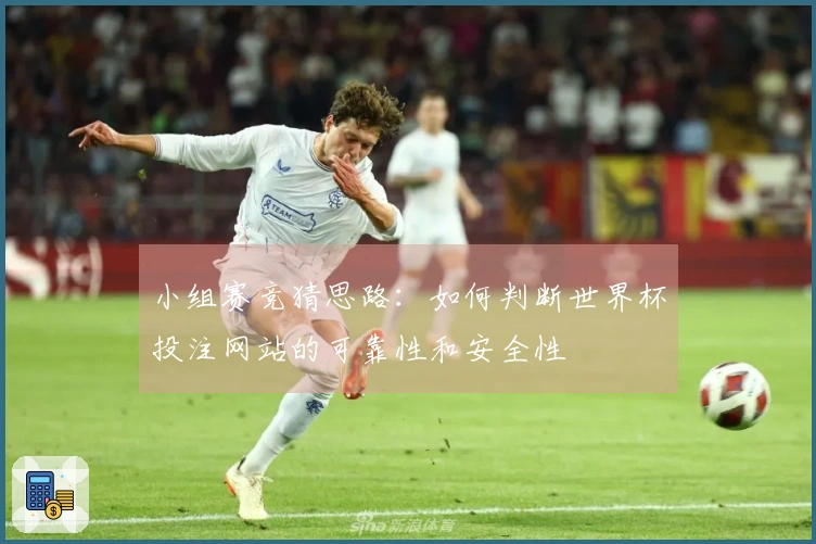 小组赛竞猜思路:如何判断世界杯投注网站的可靠性和安全性