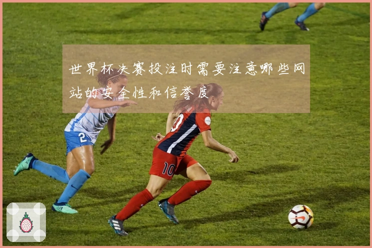 世界杯决赛投注时需要注意哪些网站的安全性和信誉度