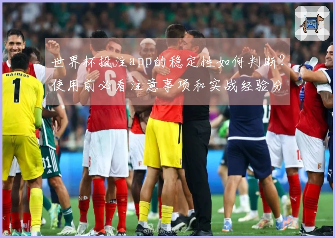 世界杯投注app的稳定性如何判断？使用前必看注意事项和实战经验分析