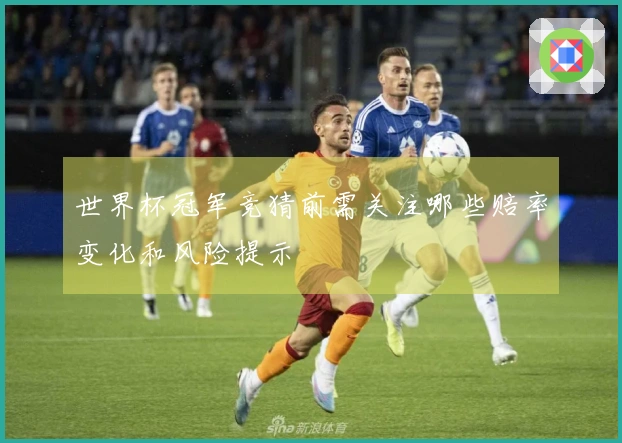 世界杯冠军竞猜前需关注哪些赔率变化和风险提示