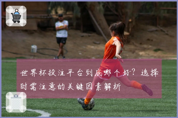 世界杯投注平台到底哪个好？选择时需注意的关键因素解析
