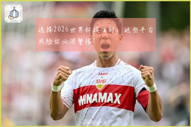 选择2026世界杯投注时，这些平台风险你必须警惕！