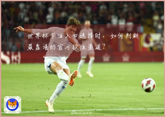 世界杯下注入口选择时，如何判断最靠谱的官方投注渠道？