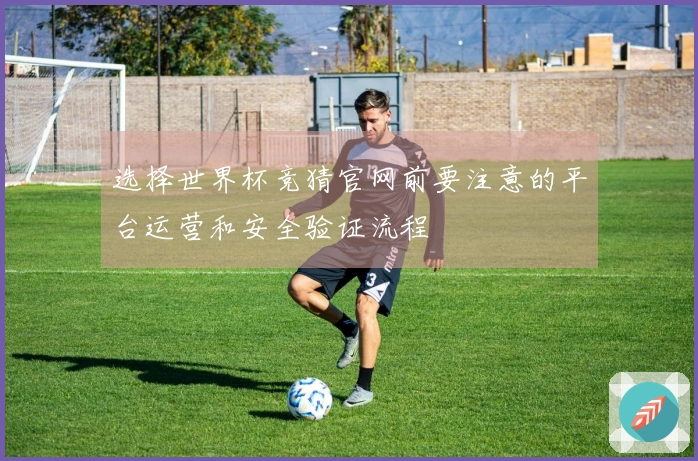 选择世界杯竞猜官网前要注意的平台运营和安全验证流程