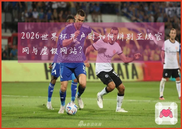 2026世界杯开户时如何辨别正规官网与虚假网站？