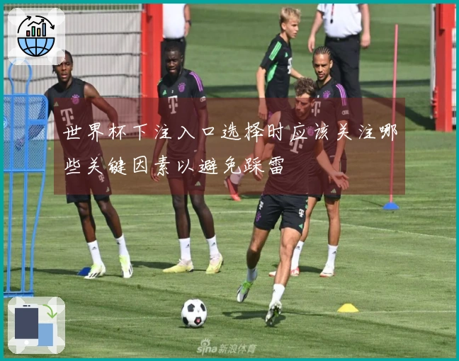 世界杯下注入口选择时应该关注哪些关键因素以避免踩雷