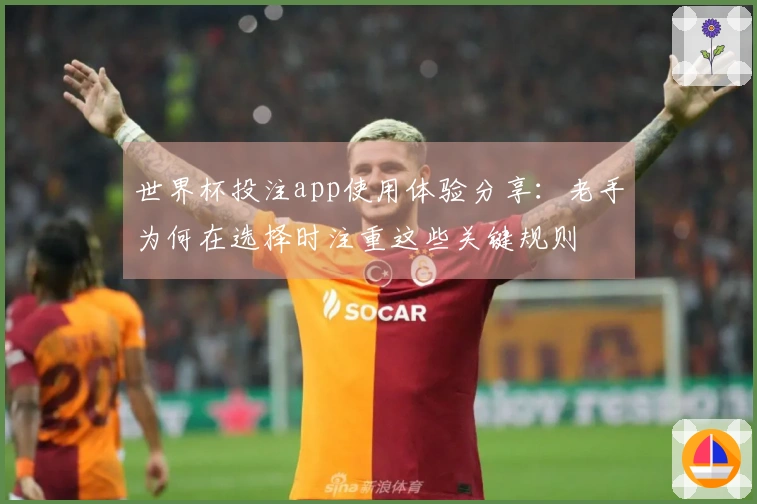 世界杯投注app使用体验分享：老手为何在选择时注重这些关键规则