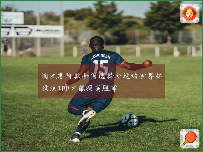 淘汰赛阶段如何选择合适的世界杯投注app才能提高胜率