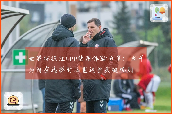 世界杯投注app使用体验分享：老手为何在选择时注重这些关键规则