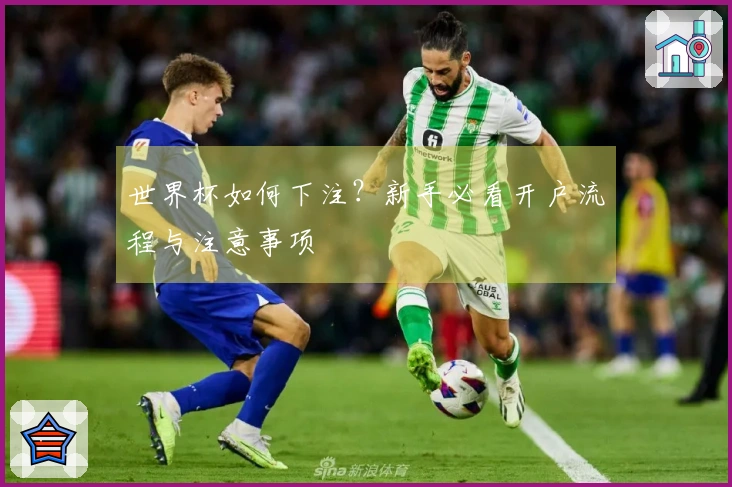 世界杯如何下注？新手必看开户流程与注意事项