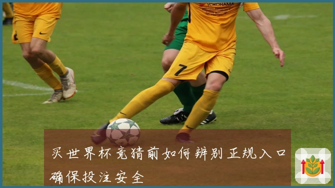 买世界杯竞猜前如何辨别正规入口确保投注安全