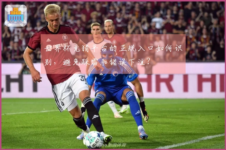 世界杯竞猜平台的正规入口如何识别，避免踩雷和错误下注？