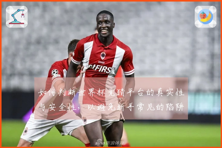 如何判断世界杯竞猜平台的真实性与安全性，以避免新手常见的陷阱