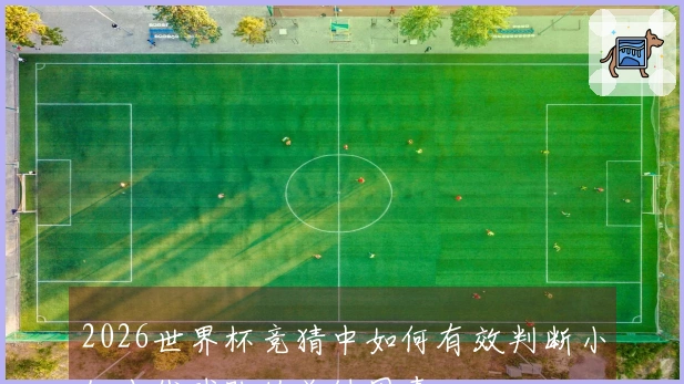 2026世界杯竞猜中如何有效判断小组出线球队的关键因素