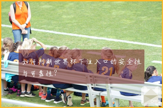 如何判断世界杯下注入口的安全性与可靠性？