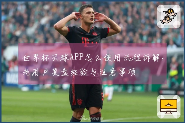 世界杯买球APP怎么使用流程拆解,老用户复盘经验与注意事项