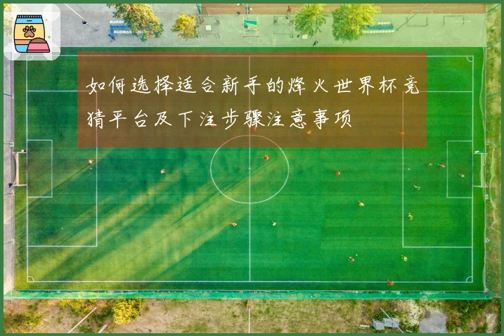 如何选择适合新手的烽火世界杯竞猜平台及下注步骤注意事项