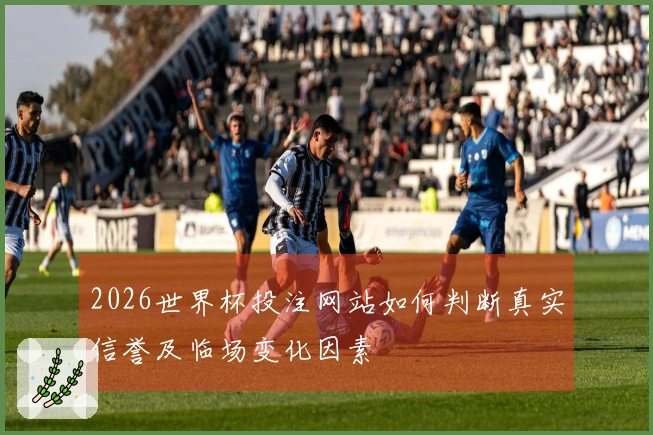 2026世界杯投注网站如何判断真实信誉及临场变化因素