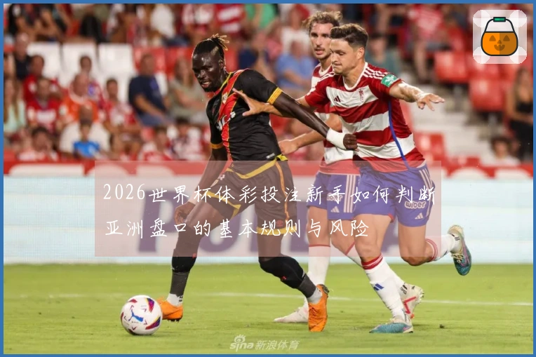 2026世界杯体彩投注新手如何判断亚洲盘口的基本规则与风险