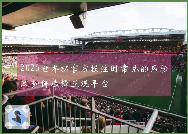 2026世界杯官方投注时常见的风险及如何选择正规平台
